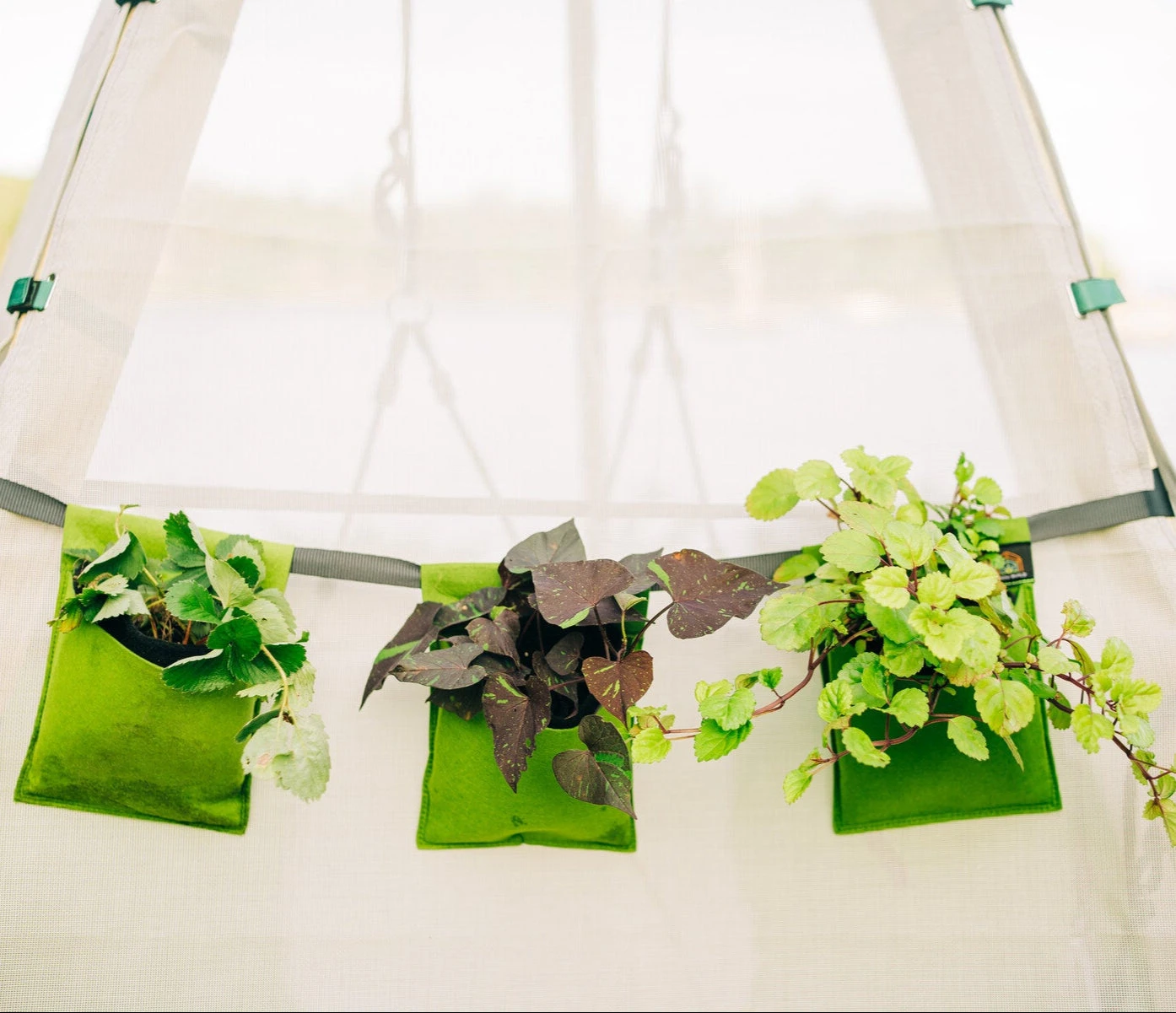 Bijou Bloom Hanging Planters 8 Bijou Bloom Hanging Planters - Image 8