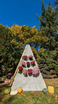 Bijou Bloom Hanging Planters 13 Bijou Bloom Hanging Planters -Maine Sport Store Bijou bloom mums