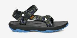 Teva K HURRICANE XLT 2 5 Teva K HURRICANE XLT 2 -Maine Sport Store KHURRICANEXLT2 ModernNatureIguana