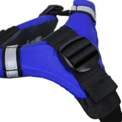 Stohlquist Dog PFD -Maine Sport Store Pupfloat blue 3