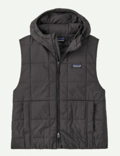 Patagonia W's Light Gust Hooded Vest