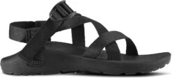 Chaco Women's Z/Cloud Sandal